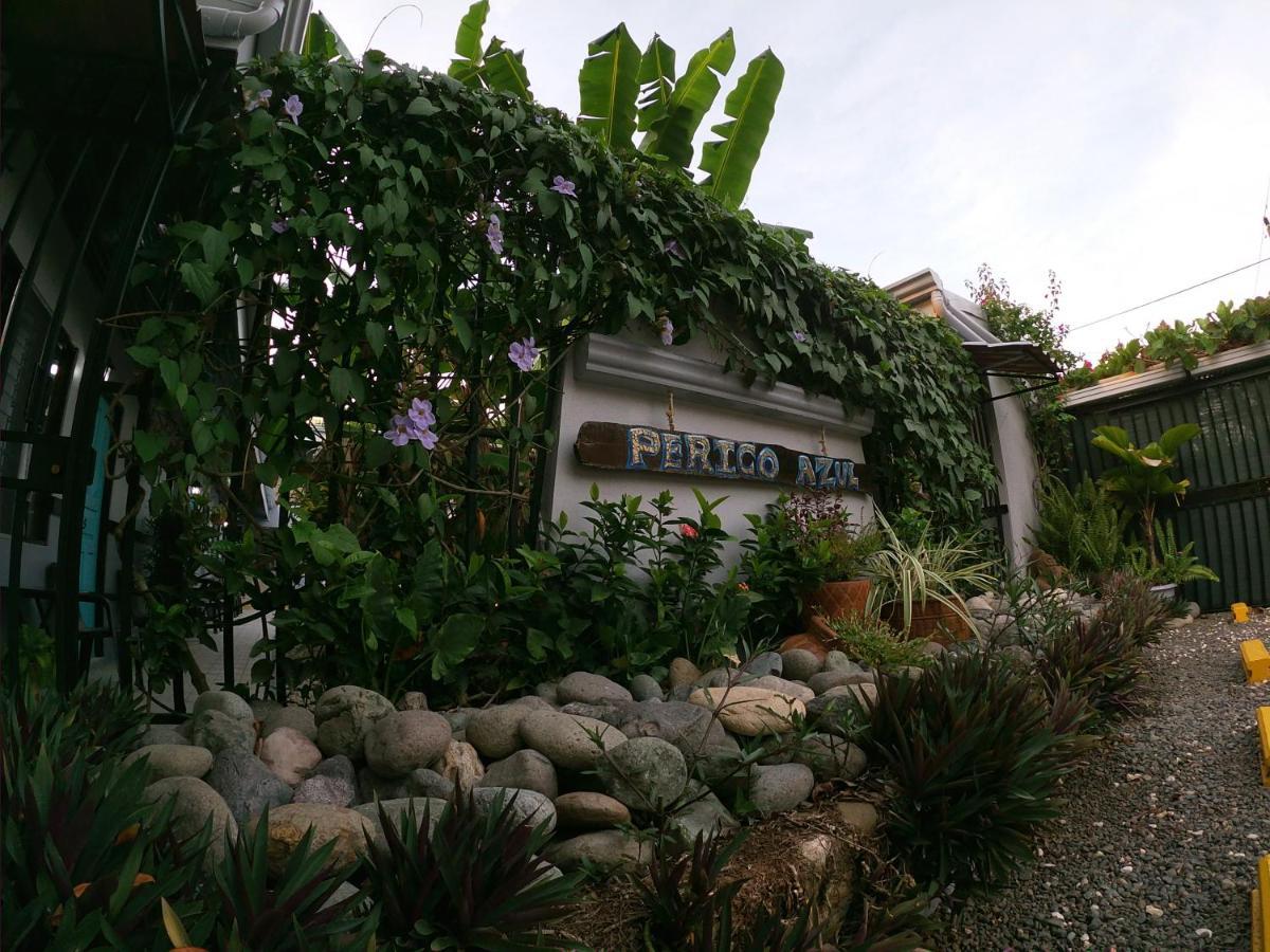 Hotel Perico Azul & Surf Camp Хако Екстер'єр фото